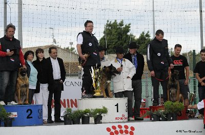 Remise des Prix 180.JPG - CHIENPLUS.COM